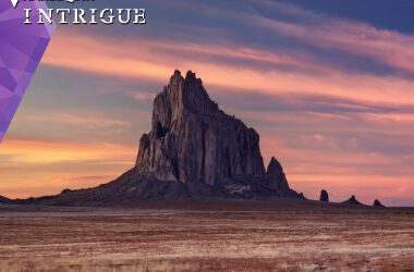 Free Read @ Harlequin: Warning Signs