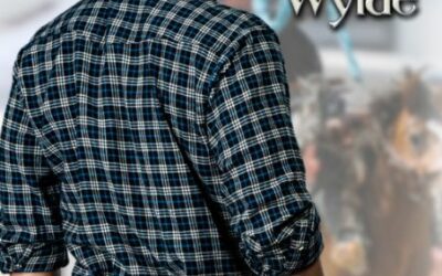 Cowboy Up by Harley Wylde