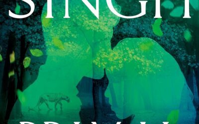 Primal Mirror by Nalini Singh