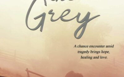 Inside the Grey by Bobbi Groover