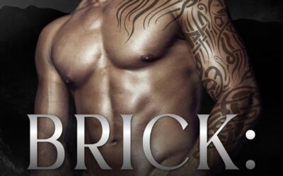BRICK: In His Crosshairs by Chrislyn Alexander