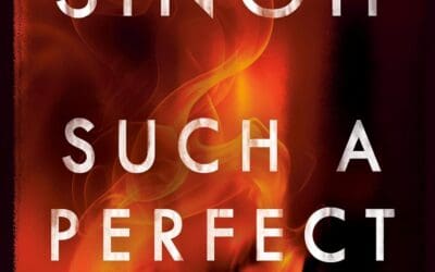 Such a Perfect Family by Nalini Singh