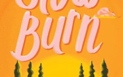 The Slow Burn by Ali Rosen