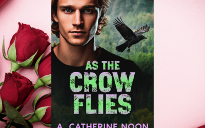 As the Crow Flies by A. Catherine Noon & Rachel Wilder