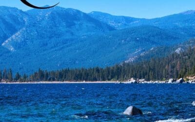 Second Chance by Martha O’Sullivan